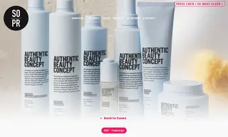 Preview of the Authentic Beauty Concept Case Study