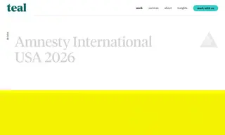 Preview of the Amnesty International USA Case Study