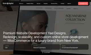 Preview of the Yael Designs Case Study