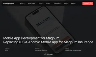 Preview of the Magnum Insurance Case Study