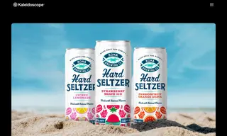 Preview of the Kona Brewing Co Case Study