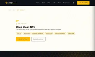 Preview of the Deep Clean NYC Case Study