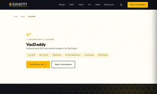 Preview of the VacDaddy Case Study