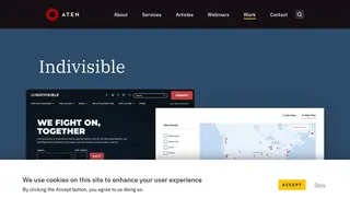 Preview of the Indivisible Case Study