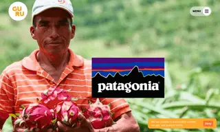 Preview of the Patagonia Case Study