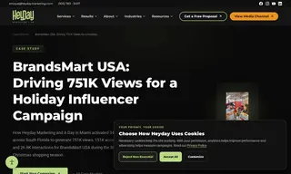 Preview of the BrandsMart USA Case Study