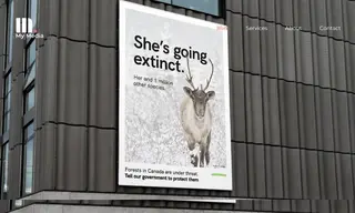 Preview of the Greenpeace Canada Case Study