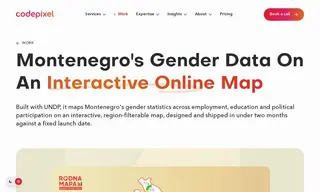 Preview of the United Nations Development Programme (UNDP) Case Study