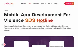 Preview of the United Nations Development Programme (UNDP) Case Study