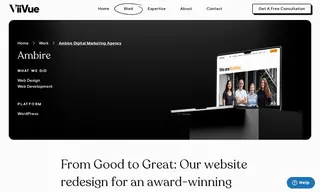 Preview of the Ambire Digital Marketing Agency Case Study