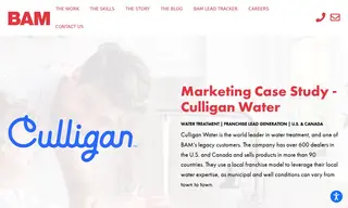 Preview of the Culligan Water Case Study