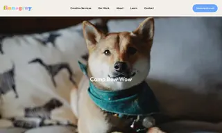 Preview of the Camp Bow Wow Case Study