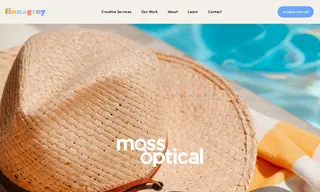 Preview of the Moss Optical Case Study
