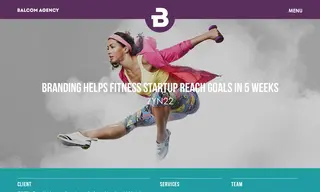 Preview of the Zyn22 Case Study