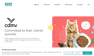 Preview of the CDMV Case Study