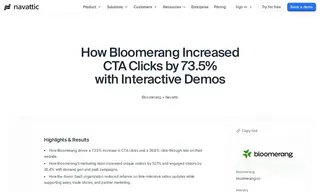 Preview of the Bloomerang Case Study