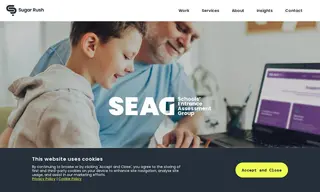 Preview of the SEAG Case Study