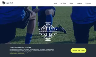 Preview of the Irish Football Association Case Study