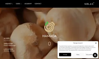 Preview of the Hamada Case Study