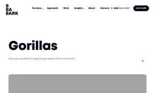 Preview of the Gorillas Case Study