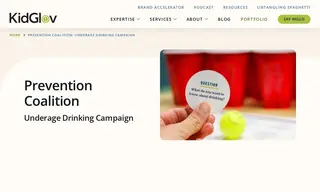 Preview of the Prevention Coalition Case Study