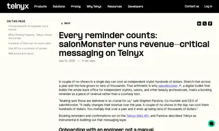 Preview of the salonMonster Case Study