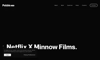 Preview of the Netflix Case Study