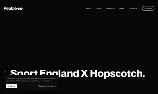 Preview of the Sport England Case Study