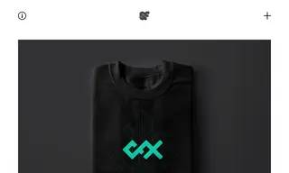 Preview of the Crucial FX Case Study