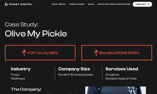 Preview of the Olive My Pickle Case Study