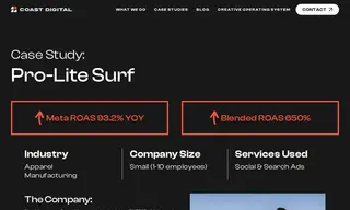 Preview of the Pro-Lite Case Study