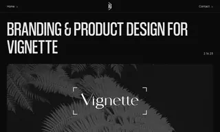 Preview of the Vignette Case Study