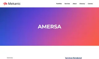 Preview of the Amersa Case Study