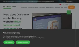 Preview of the Ola Bakery Case Study