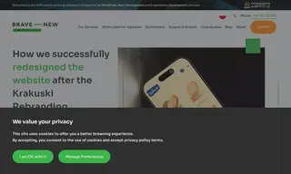 Preview of the Krakuski Case Study