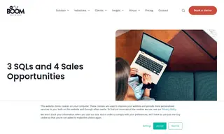 Preview of the HubSpot Case Study