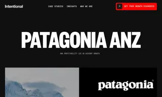 Preview of the Patagonia ANZ Case Study