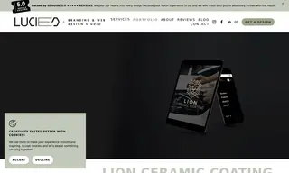Preview of the Lion Ceramic Coating Case Study