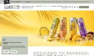 Preview of the Hlth-ee Soda Case Study