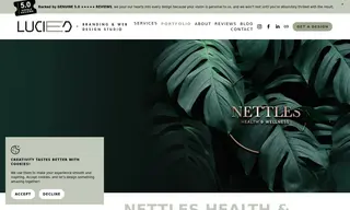 Preview of the Nettles Health & Wellness Case Study