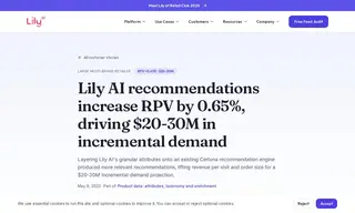 Preview of the Large Multi-Brand Retailer Case Study