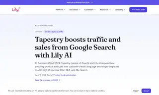 Preview of the Tapestry Case Study