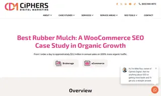 Preview of the Best Rubber Mulch Case Study