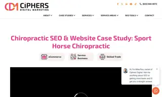 Preview of the Sport Horse Chiropractic Case Study