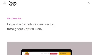 Preview of the Go Geese Go Case Study