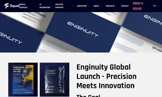 Preview of the Enginuity Case Study