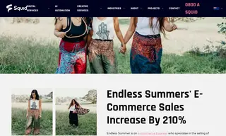 Preview of the Endless Summer Case Study