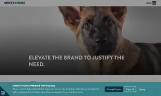 Preview of the Fidelco Case Study