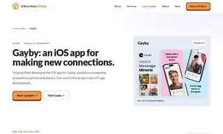 Preview of the Gayby Case Study