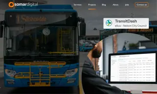 Preview of the Nelson City Council Case Study